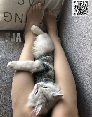 呼唤生活